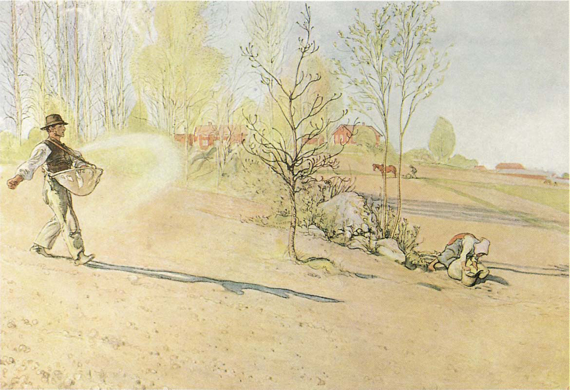 Sowing